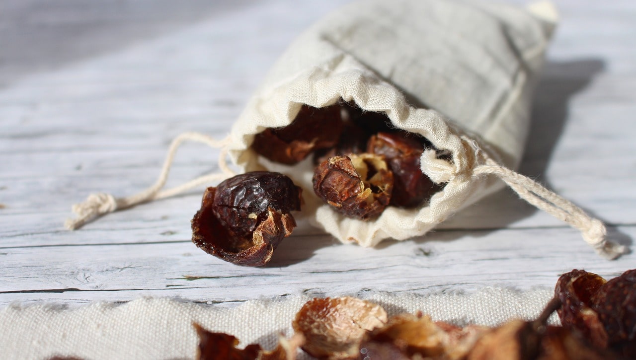 Mýdlové ořechy: Přírodní alternativa pro čistotu domácnosti